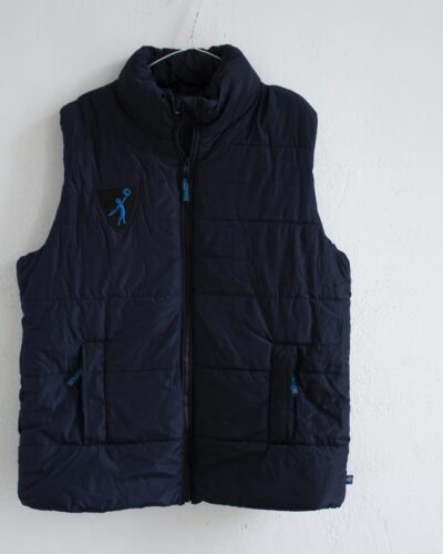 Noosphere down vest