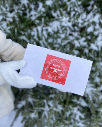 Christmas Mystery Box