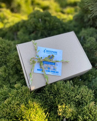 Noosphere Store Spring Box