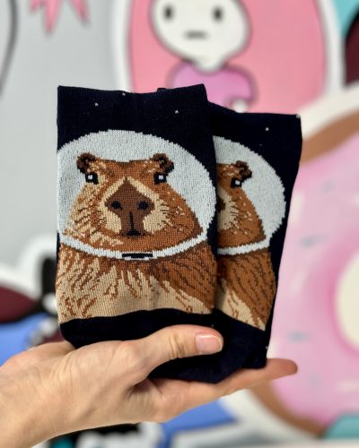 Шкарпетки Space Capybara